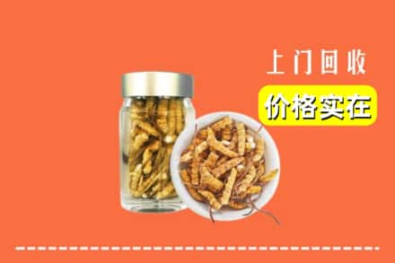 收购资讯:丽水市云和回收散虫草