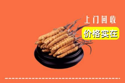 丽水市云和回收冬虫夏草