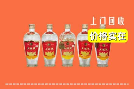 丽水市云和回收老五粮液